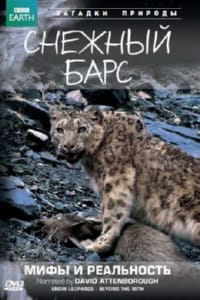 BBC: Снежный барс: Мифы и реальности