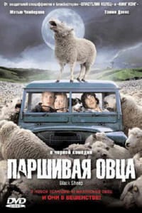 Паршивая овца