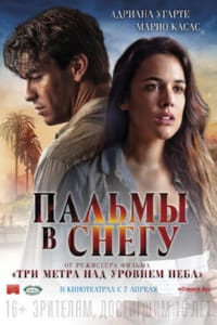 Пальмы в снегу
