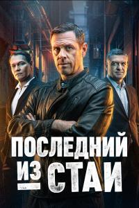 Последний из стаи